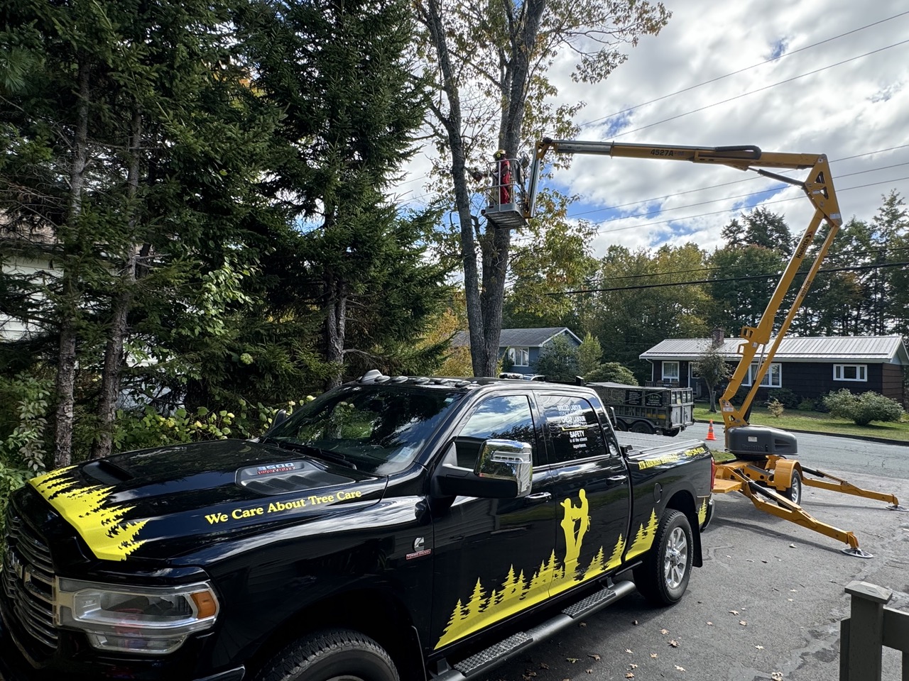 Tree Removal in Nova Scotia