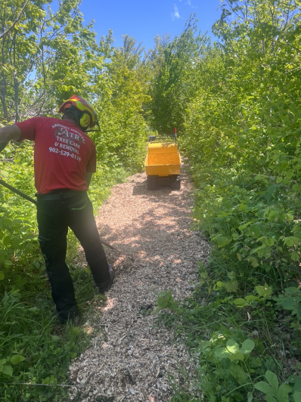 Certified Tree Company in Nova Scotia