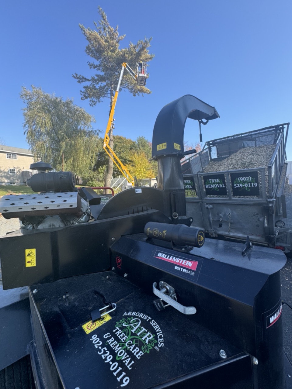 Tree Removal in Nova Scotia